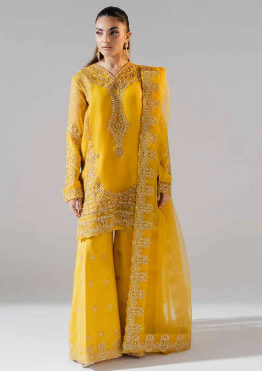 UnStitched partywear/wedding dress - LadiesKurtasuae 