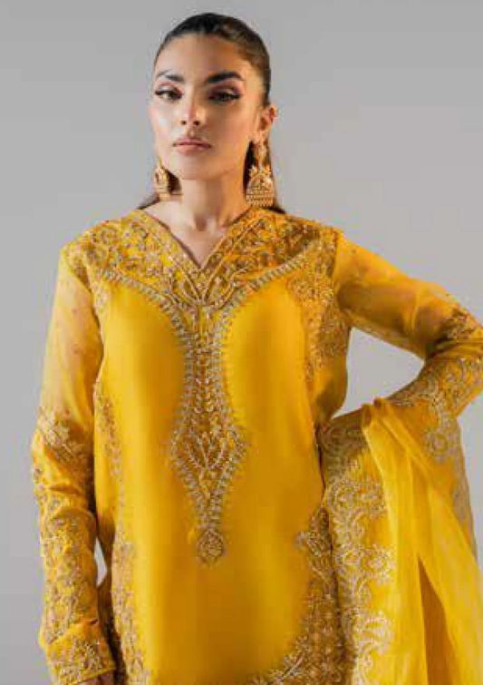 UnStitched partywear/wedding dress - LadiesKurtasuae 