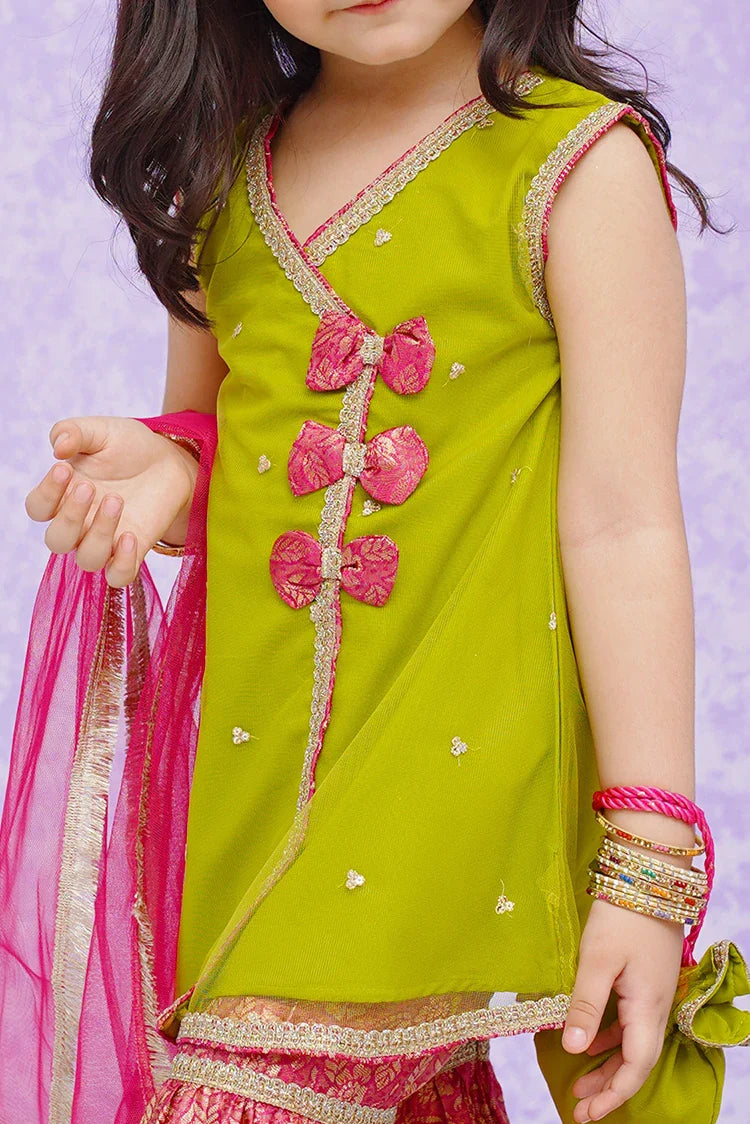 Shirt and Gharara set ready to wear