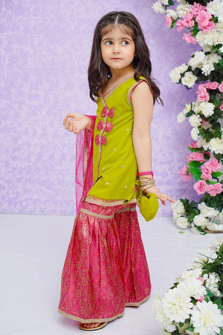 Shirt and Gharara set ready to wear