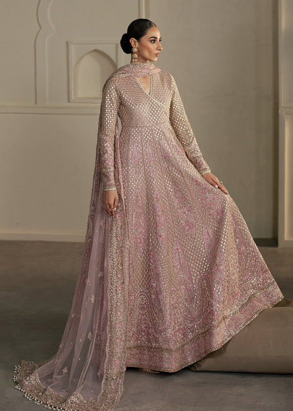 Festive chiffon wear 008R