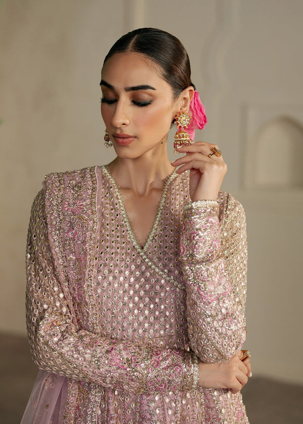 Festive chiffon wear 008R